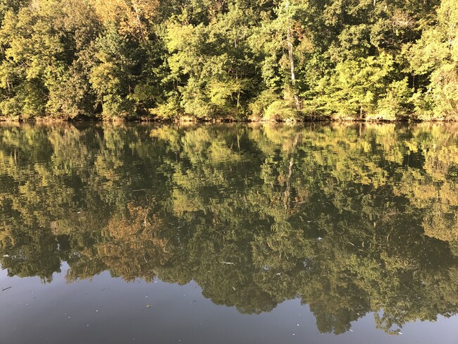 the river at the back of the property - 212 Westwood Dr