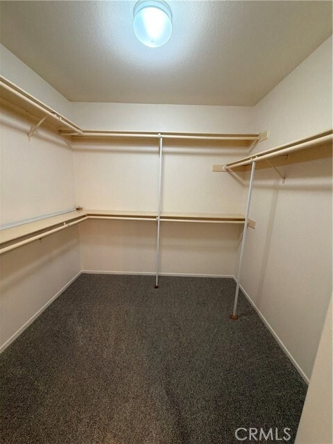 Building Photo - 17 Pastora