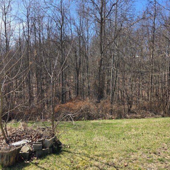 Building Photo - 7749 Mcgur Rd