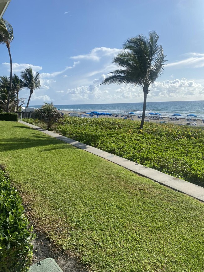 Building Photo - 100 Royal Palm Way