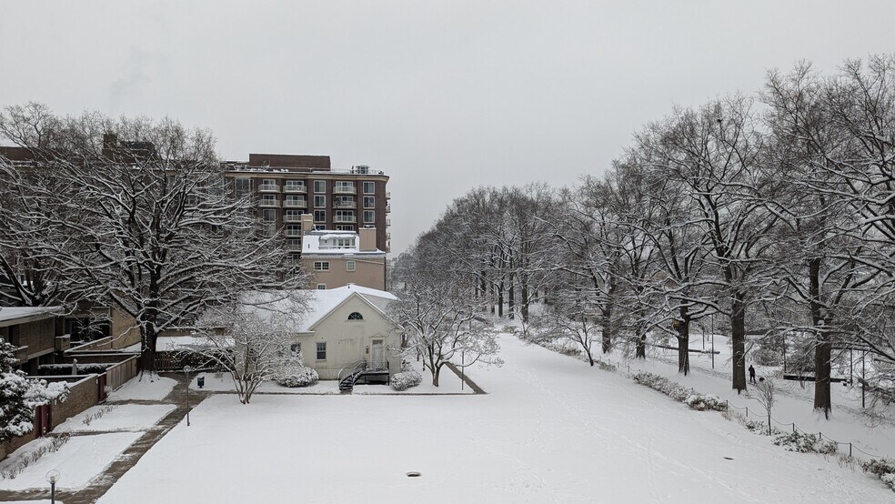 Plenty of room to make snow angels and snowmen--or just watch others play in the snow from inside. - 490 M St SW