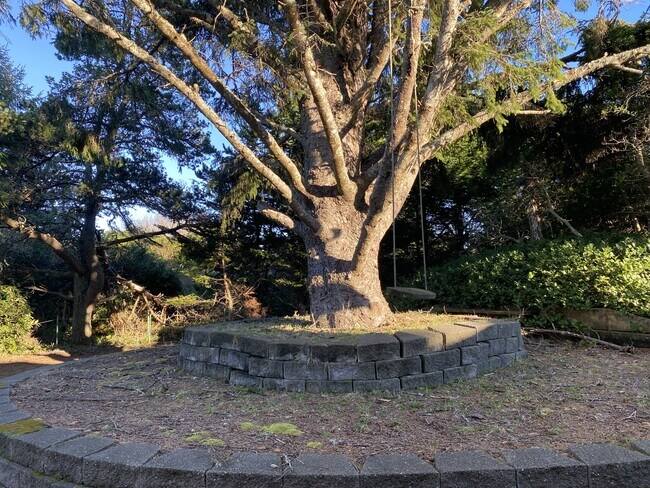 Building Photo - 348 Cockle St SW