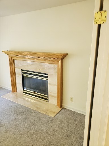 Fireplace in primary bedroom - 2040 Goldenrod Ln