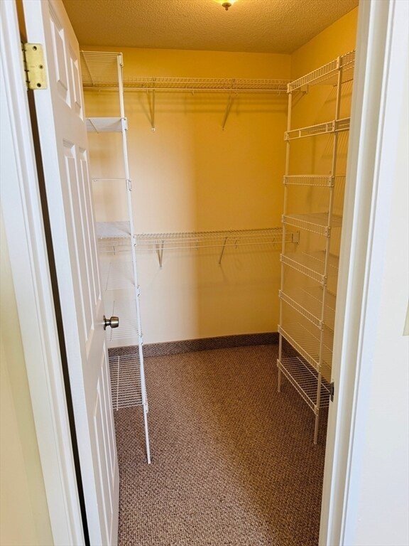 Building Photo - 64 Forest St