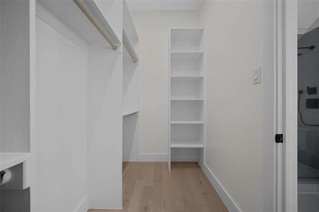 Building Photo - 1512 Seegar St