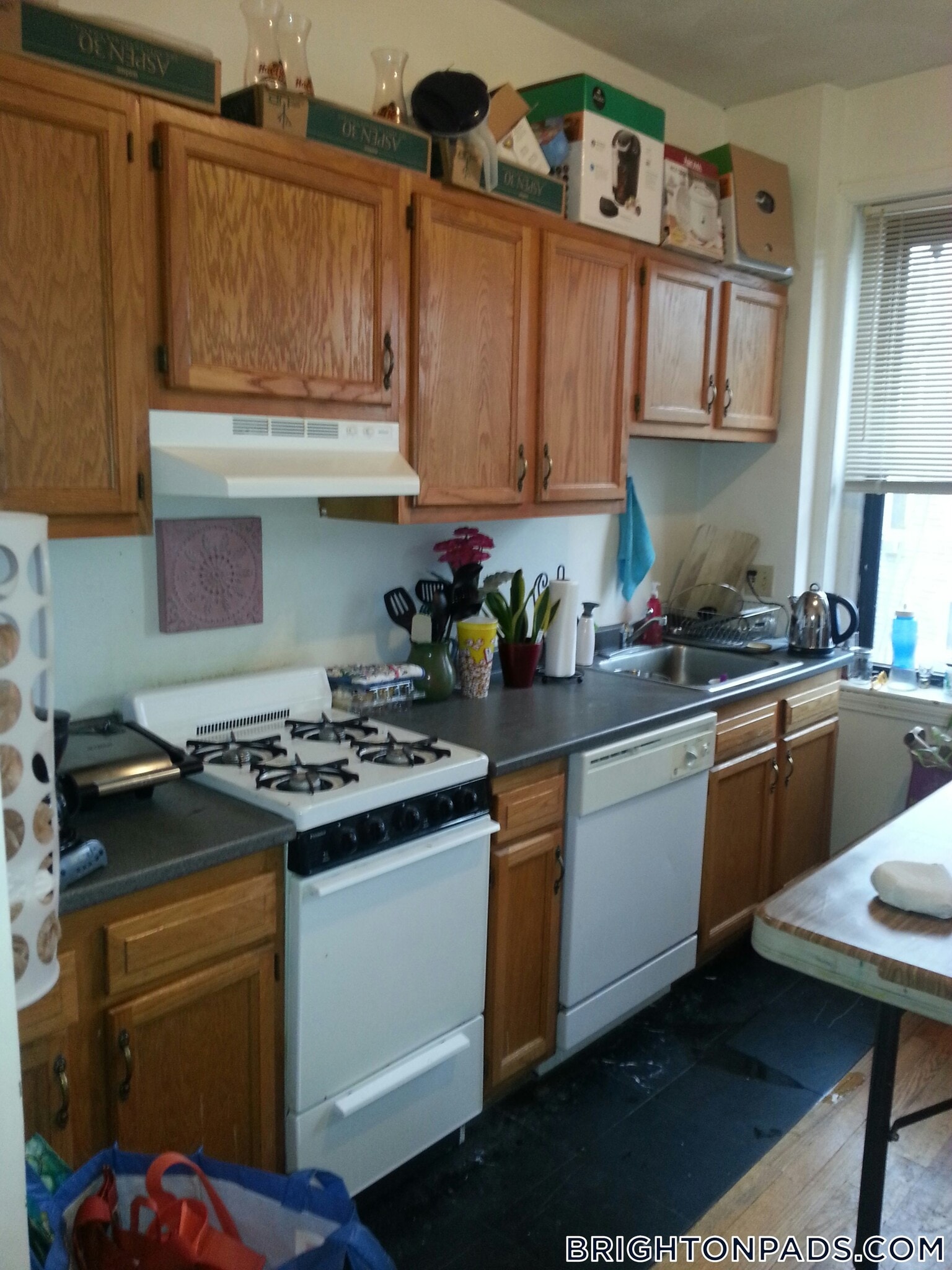 Building Photo - 11 Cummings Rd