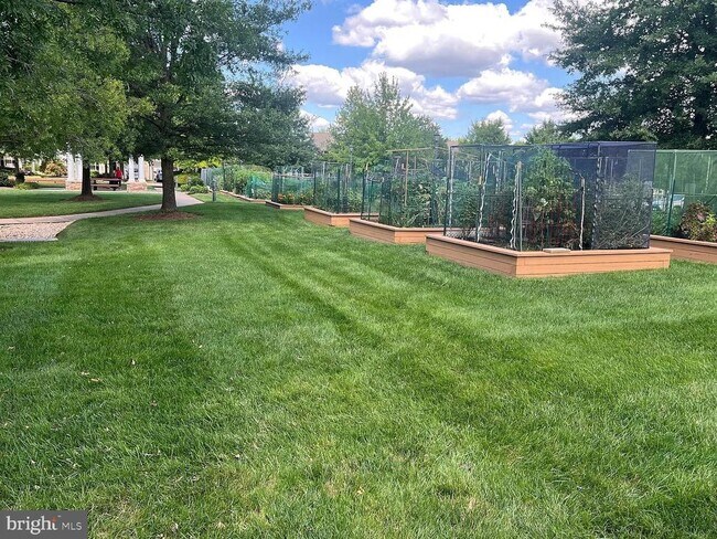 Building Photo - 20831 Adams Mill Pl