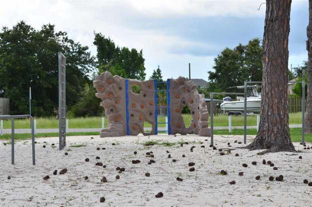 Building Photo - 1223 Redwood Ln