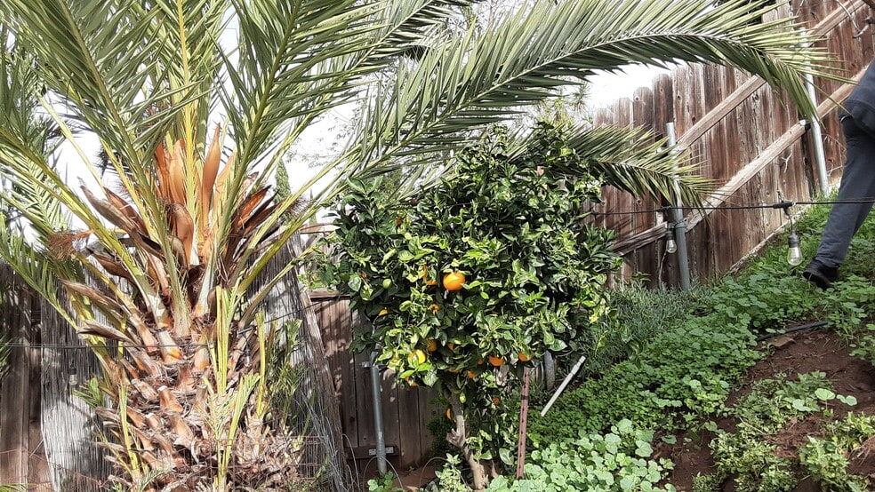 Building Photo - 15157 Jenell St