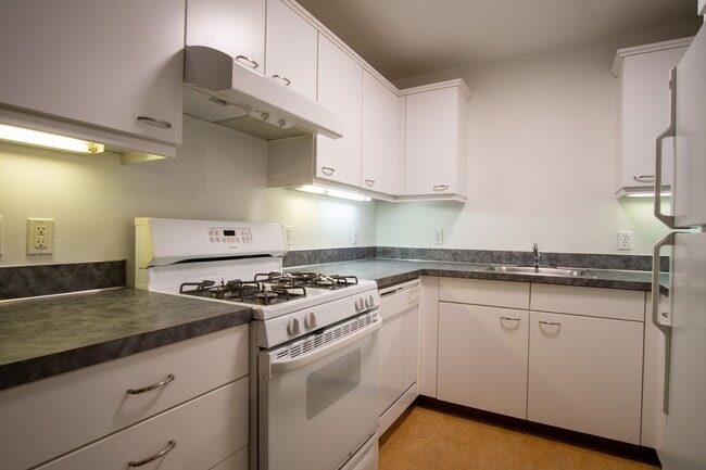 Building Photo - Spacious & Bright Modern Studio w/Fireplace, W/D & Patio