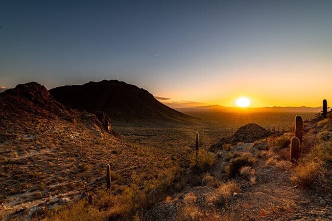 Building Photo - 1314 S 8th Ave