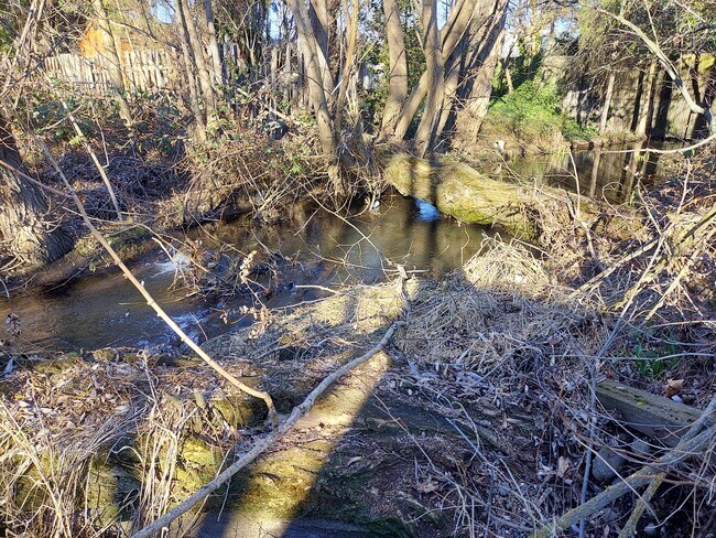 Creek - 209 Harrison St