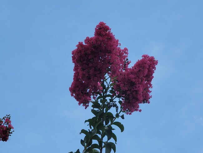 Building Photo - 1650 N 42ND Cir