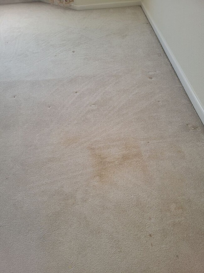 Building Photo - 5049 Pine Lake Ct