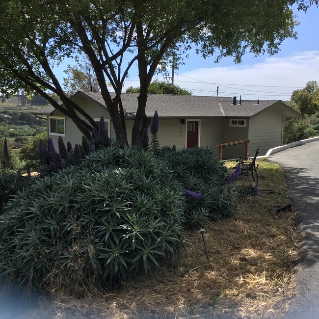 Building Photo - 525 Pini Rd