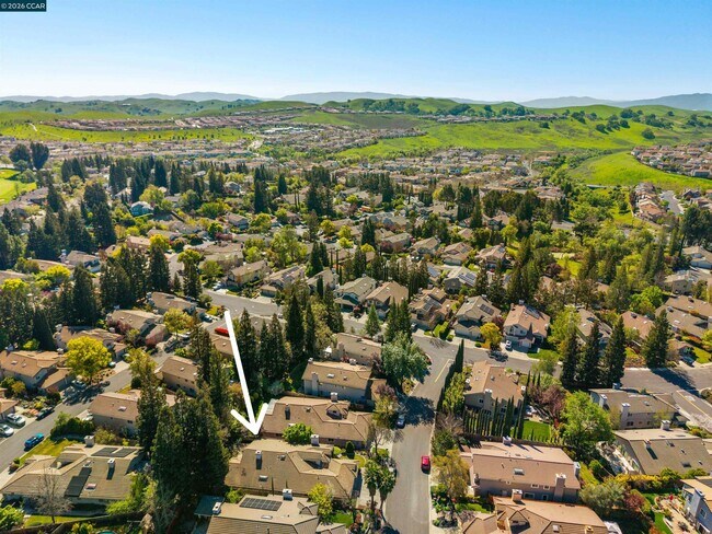 Building Photo - 313 Deepcreek Ct