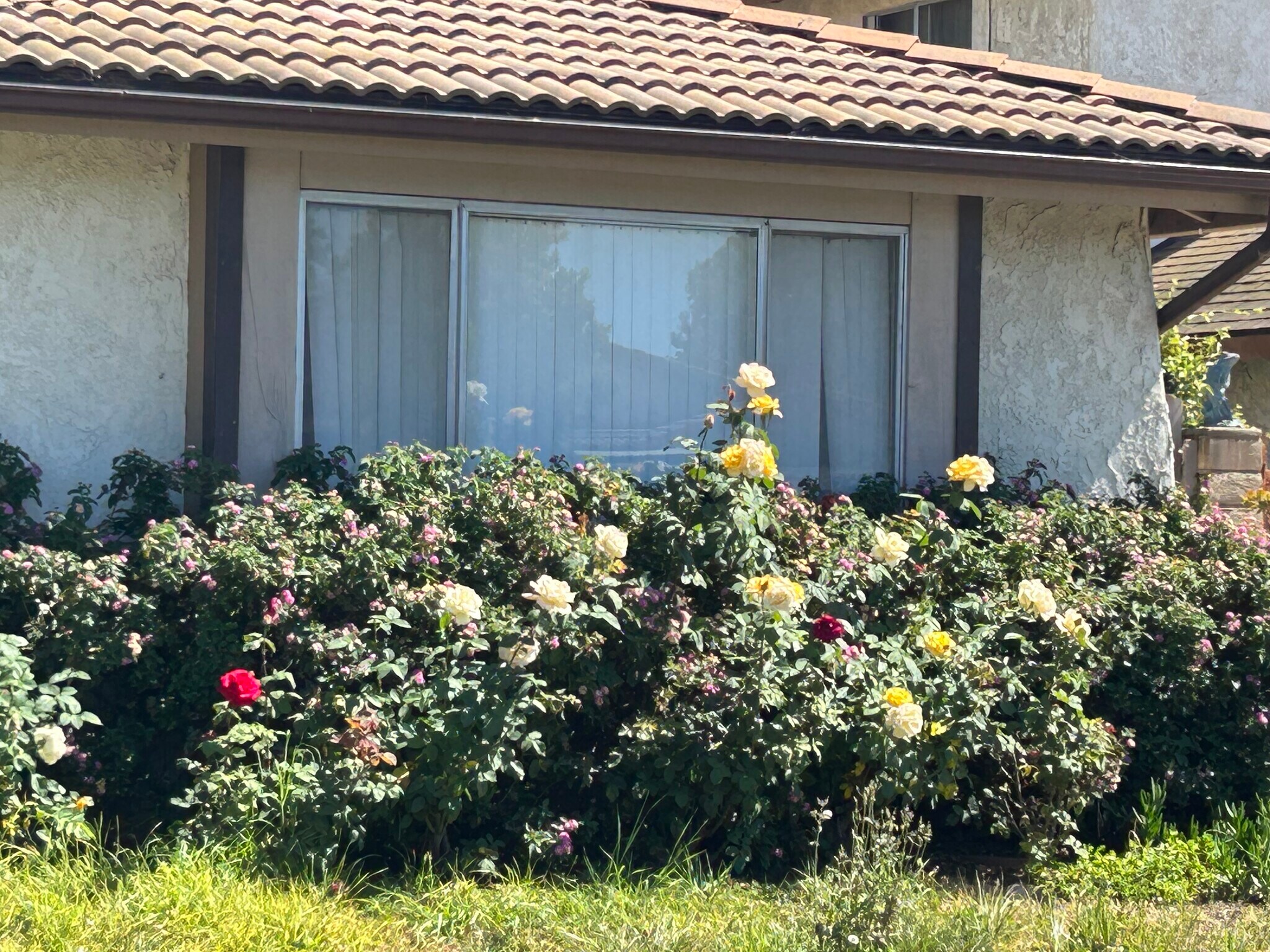 Building Photo - 876 Palmer Ave