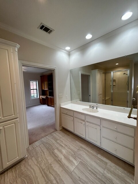 Master bathroom 1 - 806 Torribrooke Ln