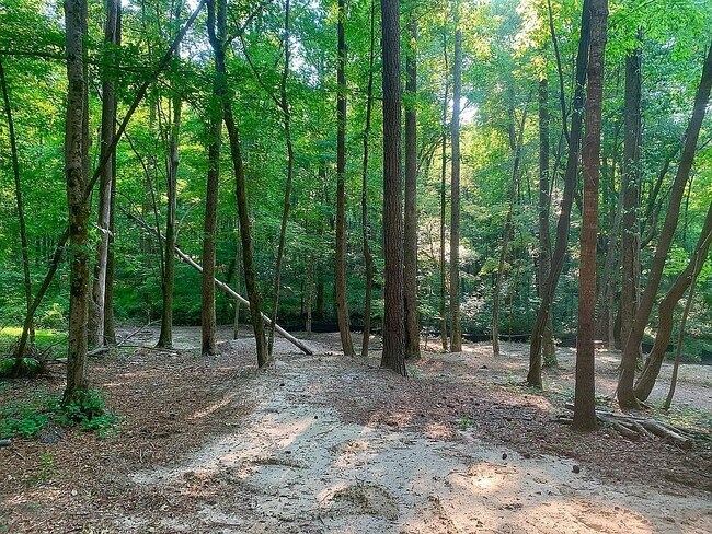 Building Photo - 510 Tribble Creek Dr