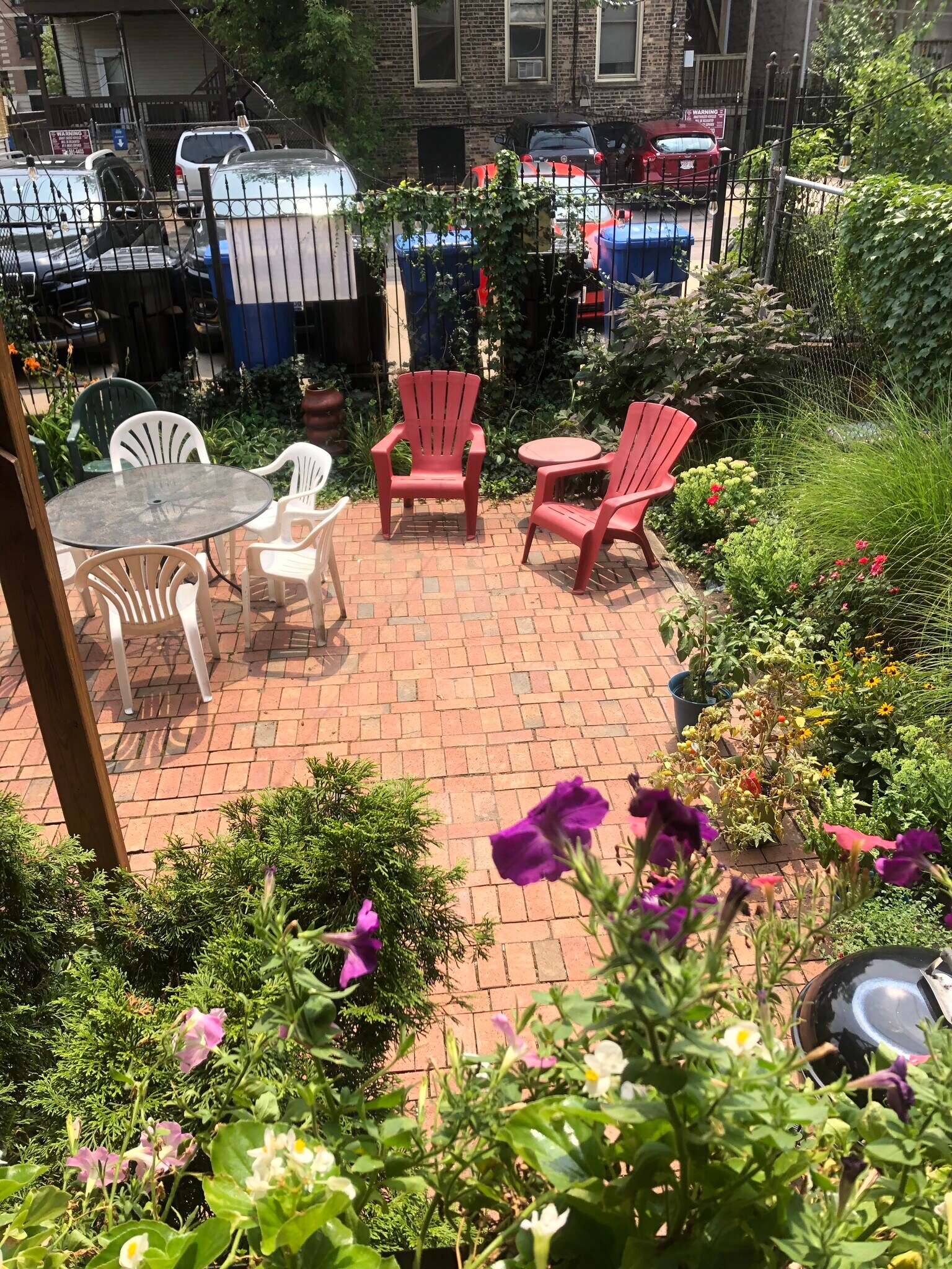 Backyard - 919 W Newport Ave