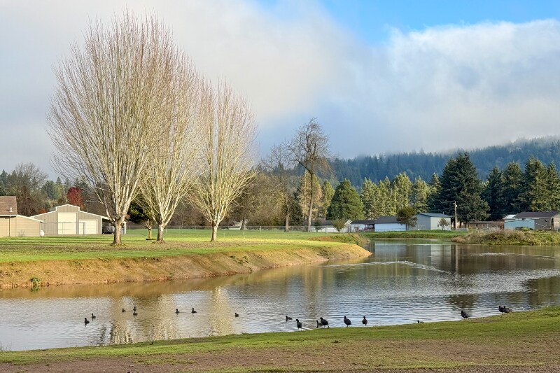 Building Photo - 2414 48th Ave