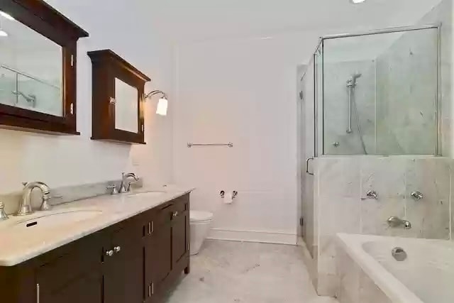 Master Bath - 3831 N Clark St
