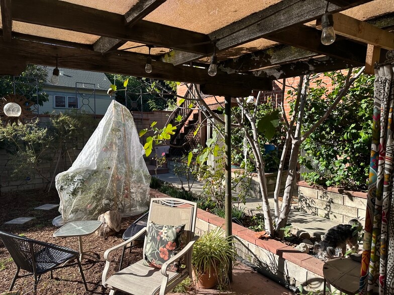 View from the Patio - 4680 College View Ave