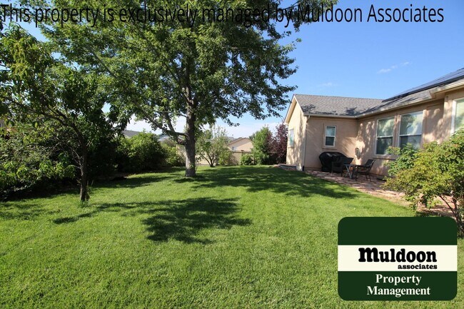 Building Photo - Coming soon! Gorgeous ranch style home in Soaring Eagles
