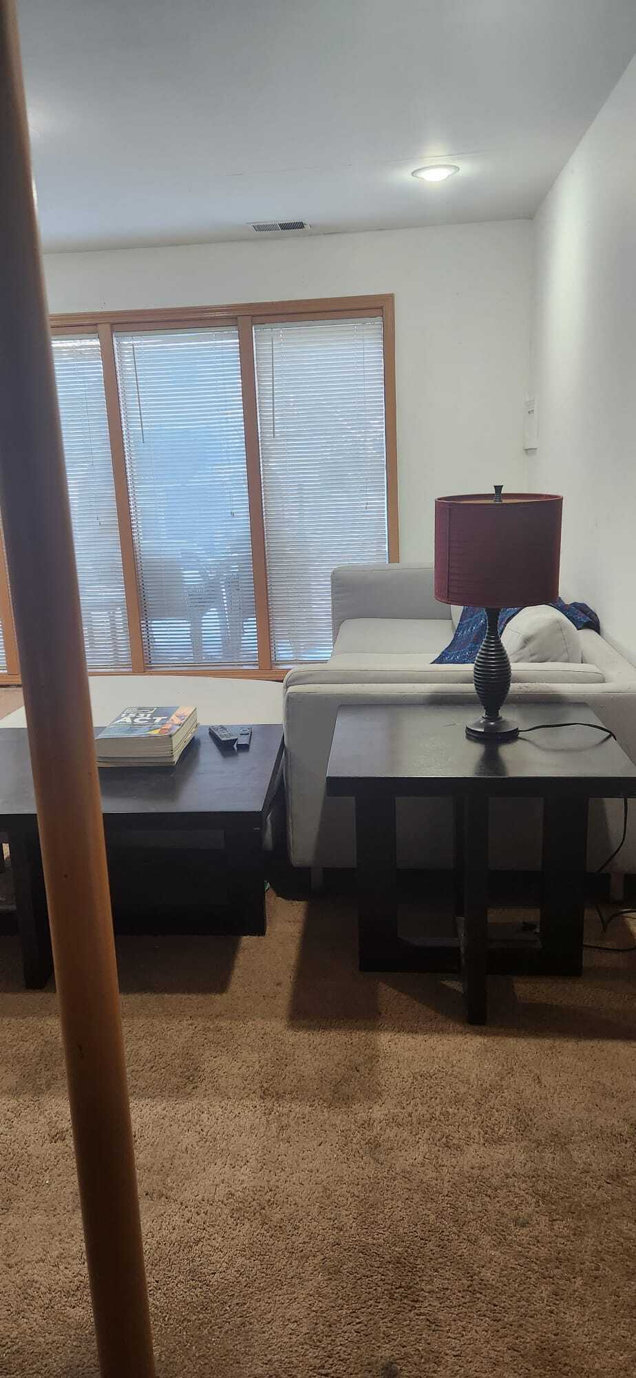 Downstairs Livingroom area - 2116 Thaler Ave