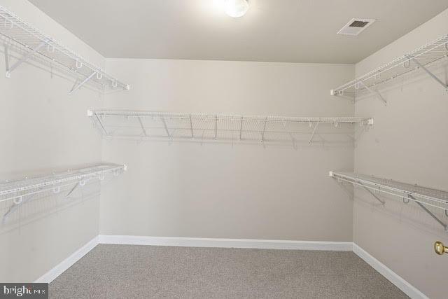 Building Photo - 7976 Vigne Ct