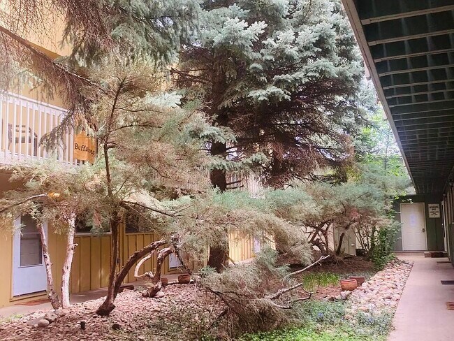 Building Photo - 1615 Cottonwood Dr