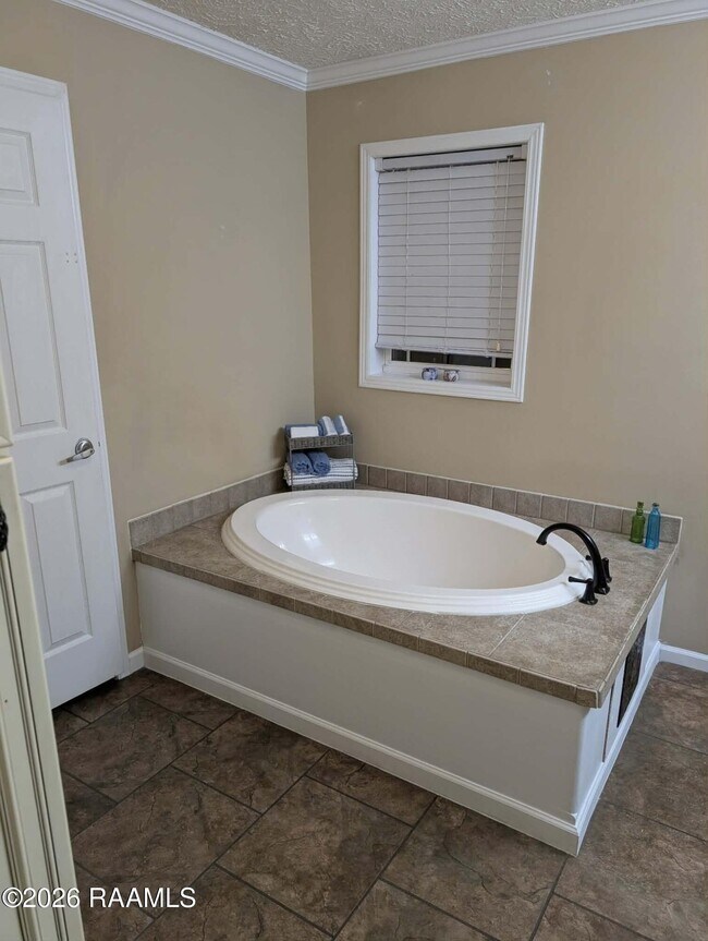 Building Photo - 206 Windcreek Ln