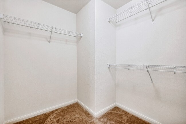 Building Photo - 4517 Shy Creek Ln
