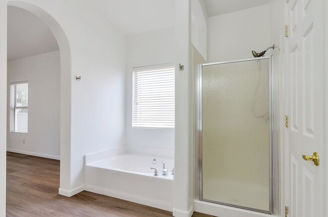 Building Photo - Beautiful, updated, Oro Valley home