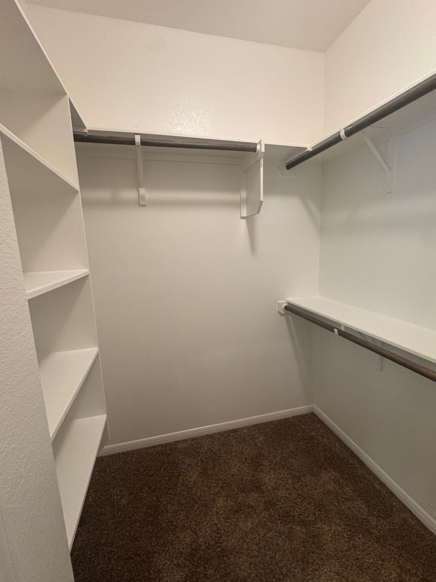 Building Photo - 1107 Rhodactis Dr