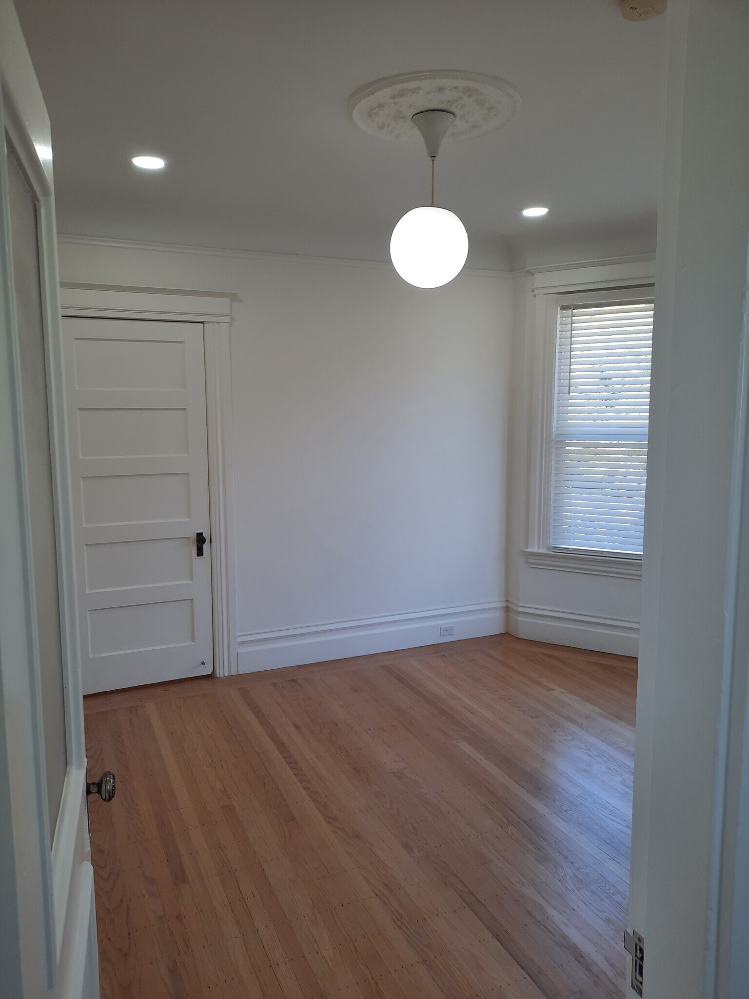Building Photo - 61 Brosnan St