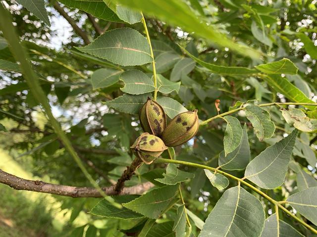 Building Photo - 590 Co Rd 1570