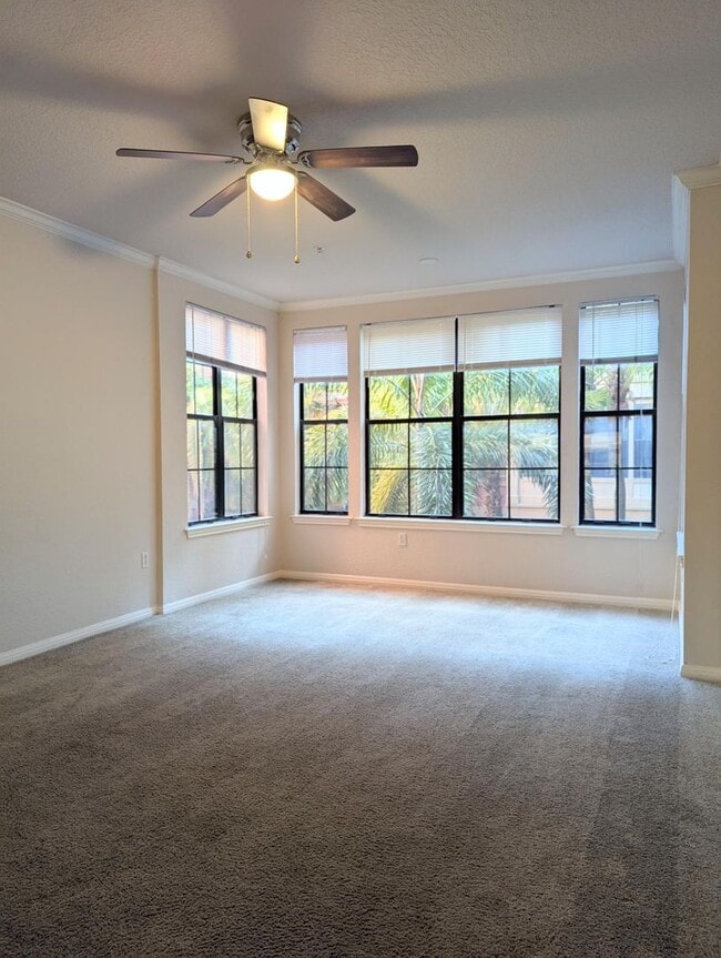 Primary Photo - 1x1 A2 Spacious Sunroom: 642 Square feet f...