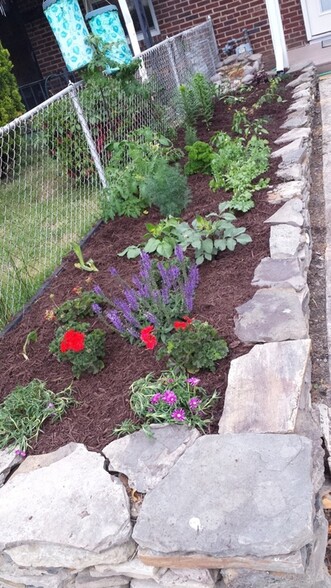 Garden with fresh herbs, vegetables, and flowers in front yard - 519 N Payne St