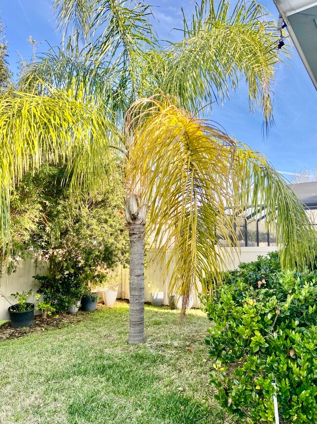 Building Photo - 30 Paradise Valley Dr