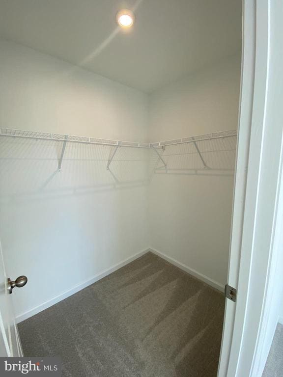 Building Photo - 37 Abigail St