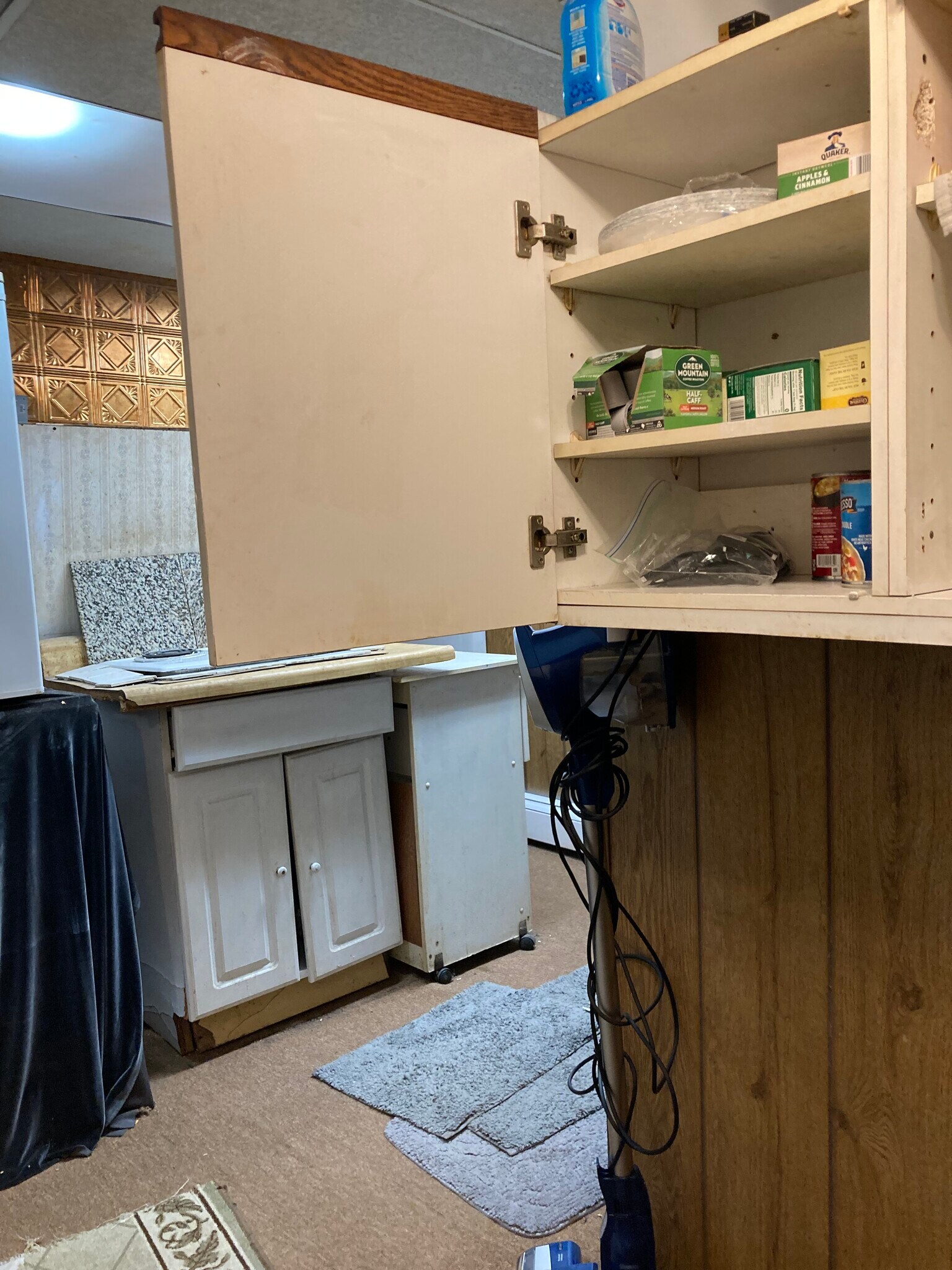 Food storage cabinet kitchenette - 764 Lenore Ln