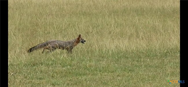 Building Photo - 1701 Sycamore St