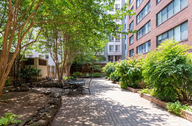 Building Photo - 1245 13th St NW