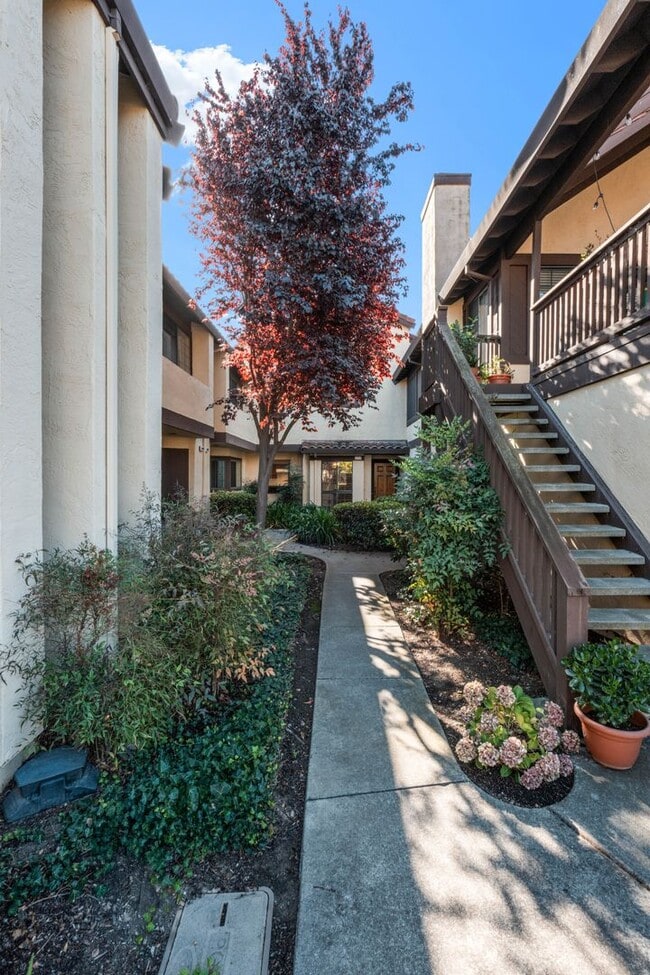 Building Photo - 14408 Outrigger Dr