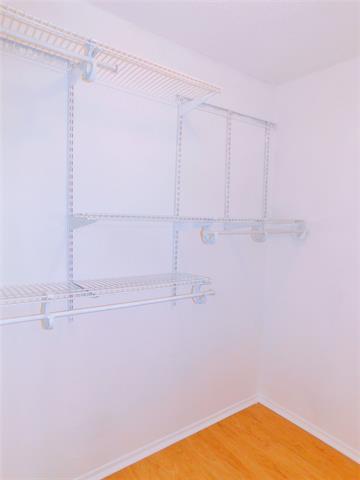 Building Photo - 2716 Mistywood Ln