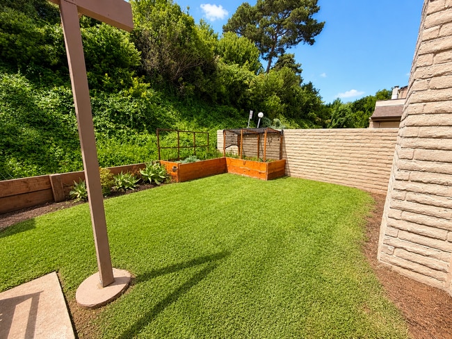 Building Photo - 8878 Caminito Primavera