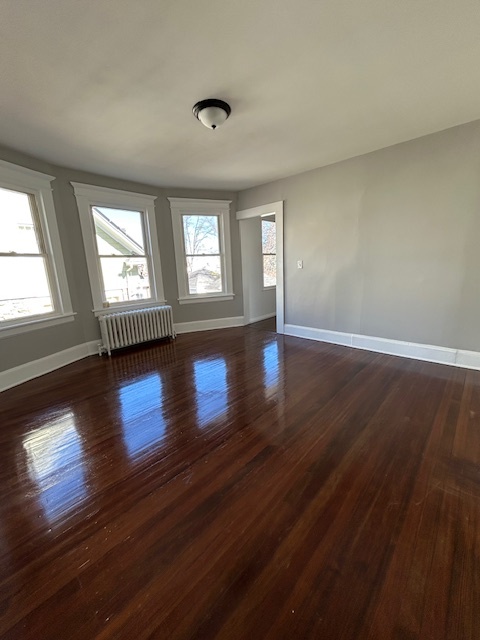 Living room - 271-273 Bronx Ave