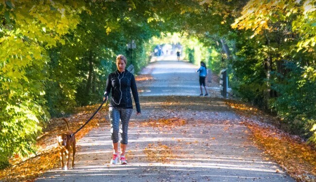 Building Photo - 230 Heritage Ln