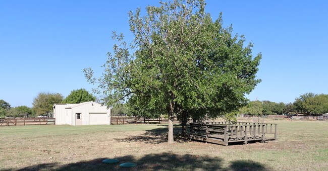 Building Photo - 3 Bed 3 Bath 3 Acres in Aubrey (FIRST MONT...
